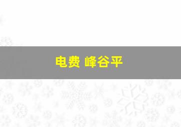 电费 峰谷平